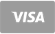 Visa betaalkaart geaccepteerd bij MrPunter Casino